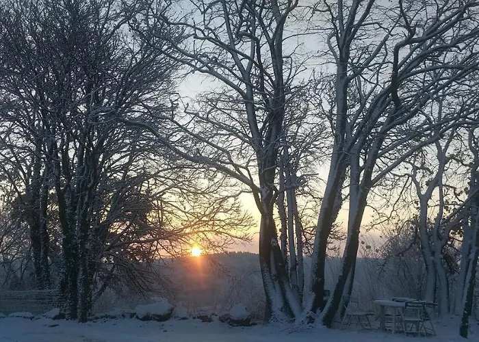 Rezi-dencia Gyogynovenyfalu *