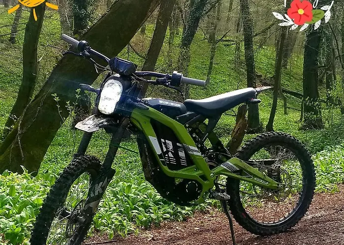 Rezi-dencia Gyogynovenyfalu 营地 Rezi